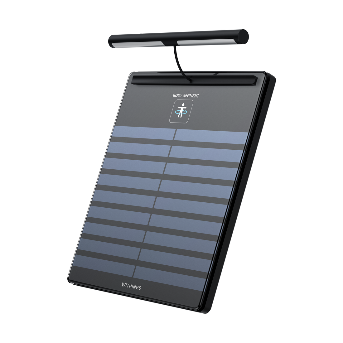 Withings Body Segment