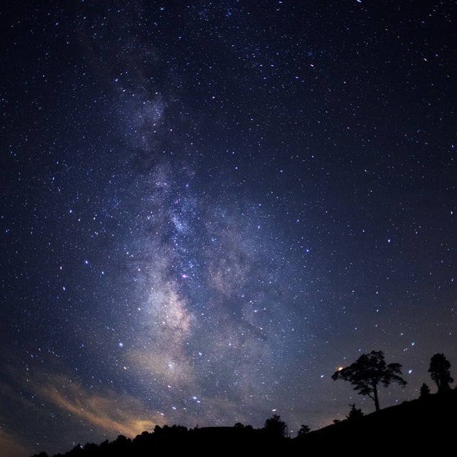 「日本一の星空」長野県阿智村　天空の楽園 ナイトツアー Season2026 開催